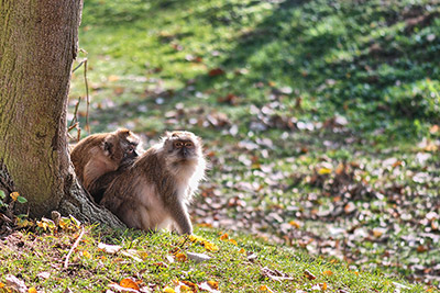 Naturerlebnispark Mundenhof in Freiburg