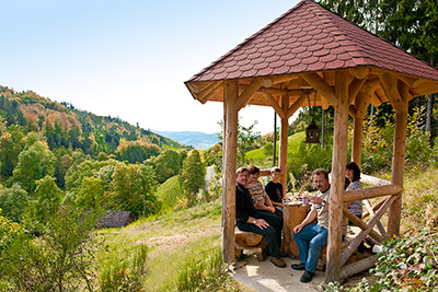 Ferienhof Wußler - Urlaub auf dem Bauernhof in Gengenbach im Kinzigtal Schwarzwald