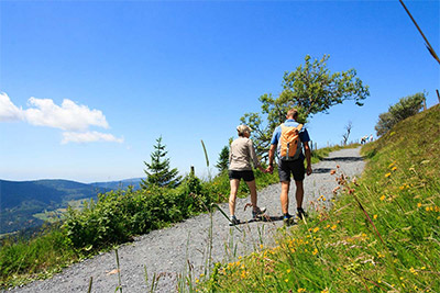 Wanderung in der herrlichen Schwarzwaldlandschaft