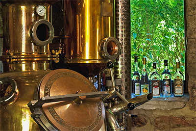 Ferienhof Wußler - Urlaub auf dem Bauernhof in Gengenbach im Kinzigtal Schwarzwald