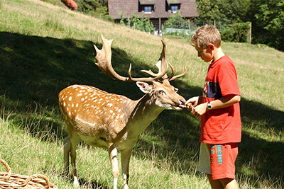 Ferienhof Wußler - Urlaub auf dem Bauernhof in Gengenbach im Kinzigtal Schwarzwald