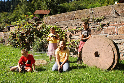 Ferienhof Wußler - Urlaub auf dem Bauernhof in Gengenbach im Kinzigtal Schwarzwald