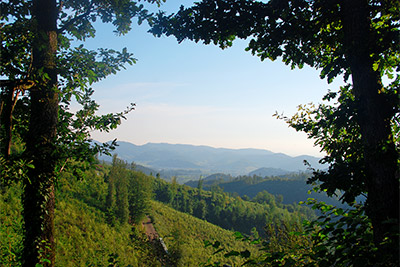 Ferienhof Wußler - Urlaub auf dem Bauernhof in Gengenbach im Kinzigtal Schwarzwald