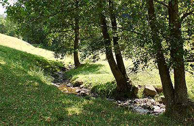 Ferienhof Wußler - Urlaub auf dem Bauernhof in Gengenbach im Kinzigtal Schwarzwald